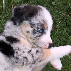 Meet your Posher, Jane